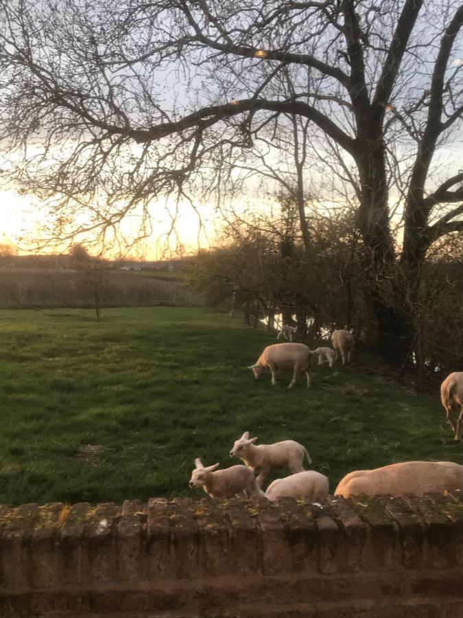 Kasteel Landgoed Crayenstein B&B Tricht Eksteriør bilde